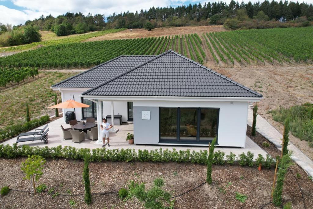 Neu - Premium-Ferienhaus Mosel-Sonne Traben-Trarbach Eksteriør bilde