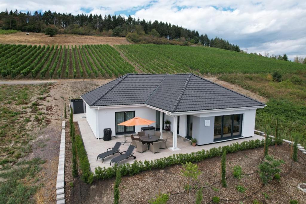Neu - Premium-Ferienhaus Mosel-Sonne Traben-Trarbach Eksteriør bilde